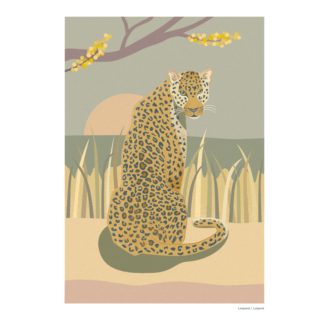 Print A4 African Wild Leopard