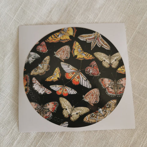 Sticker License Disk Butterflies and Moths