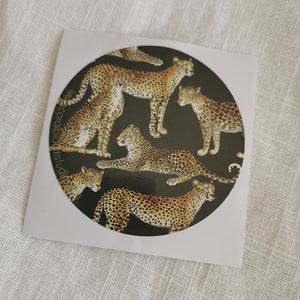 Sticker License Disk Cheetahs