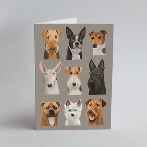 Card Terriers