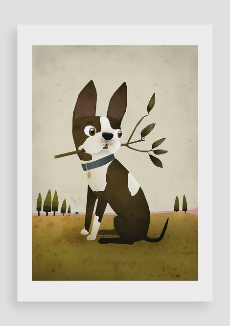 Print A5 VariousBostonTerrier