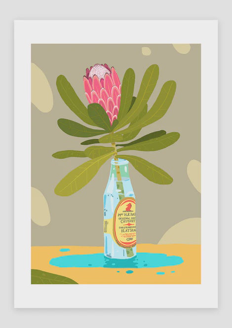 Print A5 Protea MrsBalls